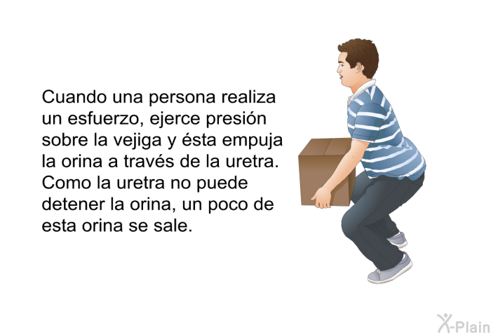 Cuando una persona realiza un esfuerzo, ejerce presin sobre la vejiga y sta empuja la orina a travs de la uretra. Como la uretra no puede detener la orina, un poco de esta orina se sale.