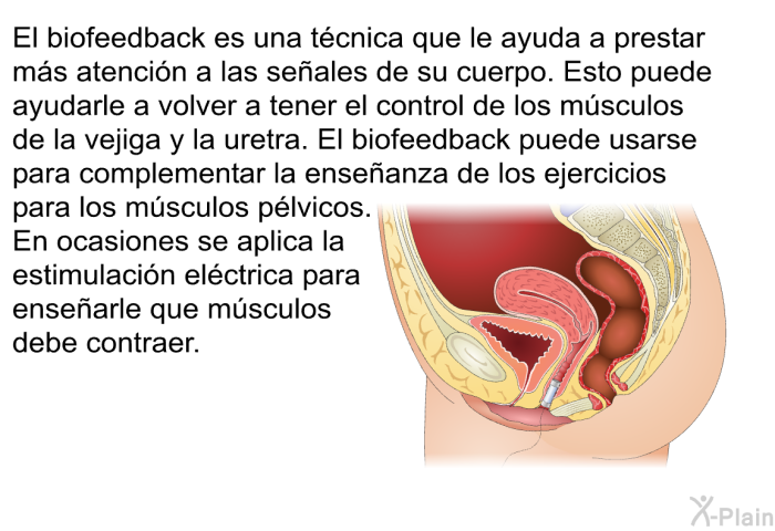 El biofeedback es una tcnica que le ayuda a prestar ms atencin a las seales de su cuerpo. Esto puede ayudarle a volver a tener el control de los msculos de la vejiga y la uretra. El biofeedback puede usarse para complementar la enseanza de los ejercicios para los msculos plvicos. En ocasiones se aplica la estimulacin elctrica para ensearle que msculos debe contraer.