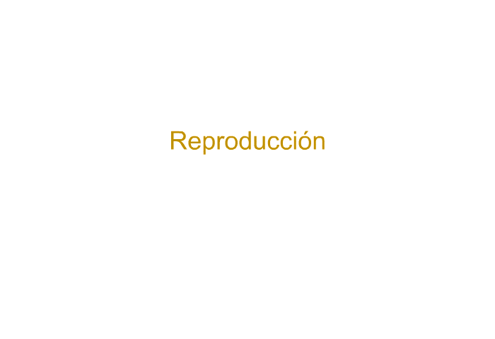 Reproduccin