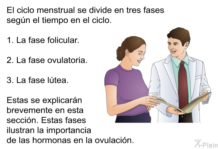 El ciclo menstrual se divide en tres fases segn el tiempo en el ciclo.  La fase folicular. La fase ovulatoria. La fase ltea.  
 Estas se explicarn brevemente en esta seccin. Estas fases ilustran la importancia de las hormonas en la ovulacin.