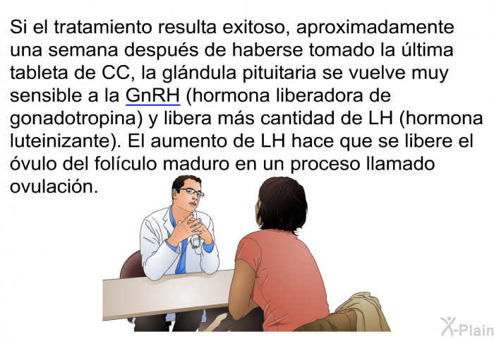 Si el tratamiento resulta exitoso, aproximadamente una semana despu�s de haberse tomado la �ltima tableta de CC, la gl�ndula pituitaria se vuelve muy sensible a la GnRH (hormona liberadora de gonadotropina) y libera m�s cantidad de LH (hormona luteinizante). El aumento de LH hace que se libere el �vulo del fol�culo maduro en un proceso llamado ovulaci�n.