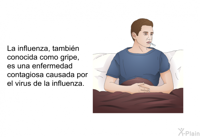 La influenza, tambin conocida como gripe, es una enfermedad contagiosa causada por el virus de la influenza.