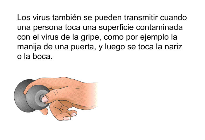 Los virus tambin se pueden transmitir cuando una persona toca una superficie contaminada con el virus de la gripe, como por ejemplo la manija de una puerta, y luego se toca la nariz o la boca.