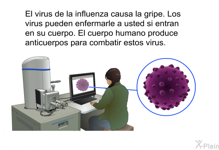 El virus de la influenza causa la gripe. Los virus pueden enfermarle a usted si entran en su cuerpo. El cuerpo humano produce anticuerpos para combatir estos virus.