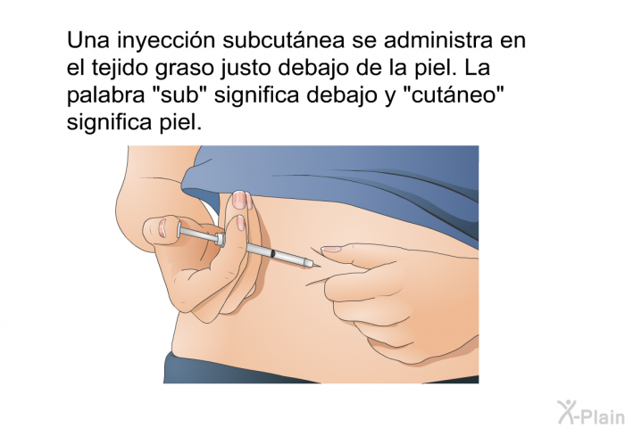 Una inyeccin subcutnea se administra en el tejido graso justo debajo de la piel. La palabra “sub” significa debajo y “cutneo” significa piel.