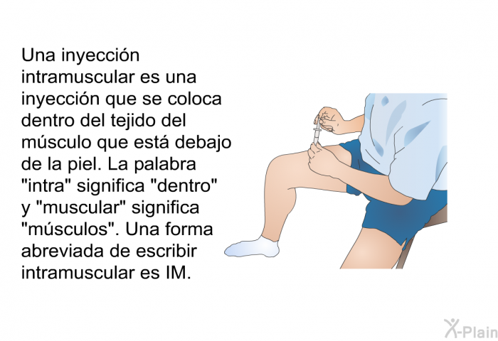 Una inyeccin intramuscular es una inyeccin que se coloca dentro del tejido del msculo que est debajo de la piel. La palabra “intra” significa “dentro” y “muscular” significa “msculos”. Una forma abreviada de escribir intramuscular es IM.