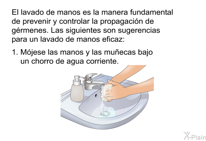 El lavado de manos es la manera fundamental de prevenir y controlar la propagacin de grmenes. Las siguientes son sugerencias para un lavado de manos eficaz:   Mjese las manos y las muecas bajo un chorro de agua corriente.