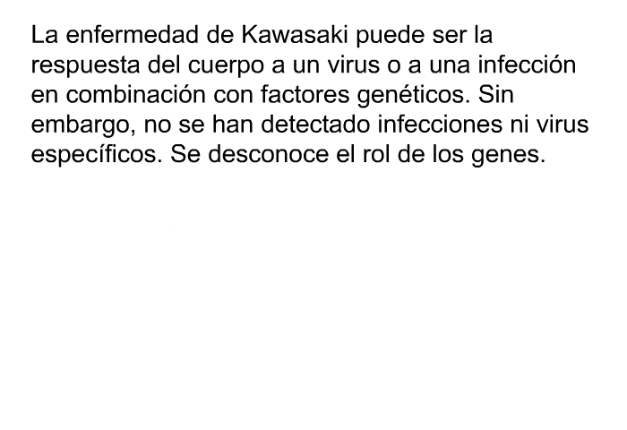 La enfermedad de Kawasaki puede ser la respuesta del cuerpo a un virus o a una infeccin en combinacin con factores genticos. Sin embargo, no se han detectado infecciones ni virus especficos. Se desconoce el rol de los genes.