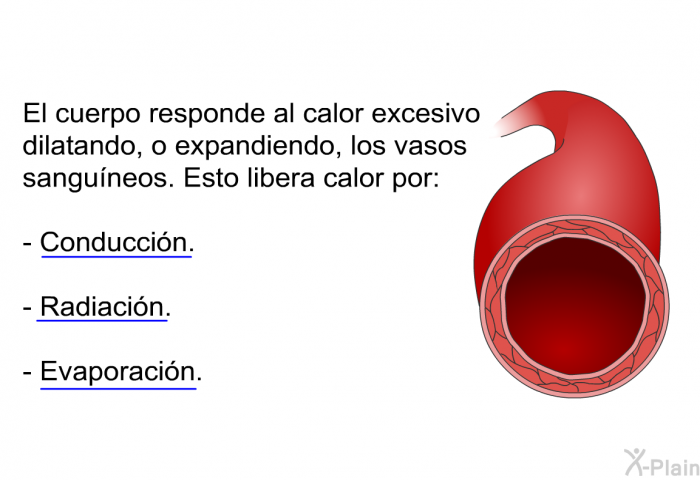 El cuerpo responde al calor excesivo dilatando, o expandiendo, los vasos sanguneos. Esto libera calor por:  Conduccin. Radiacin. Evaporacin.