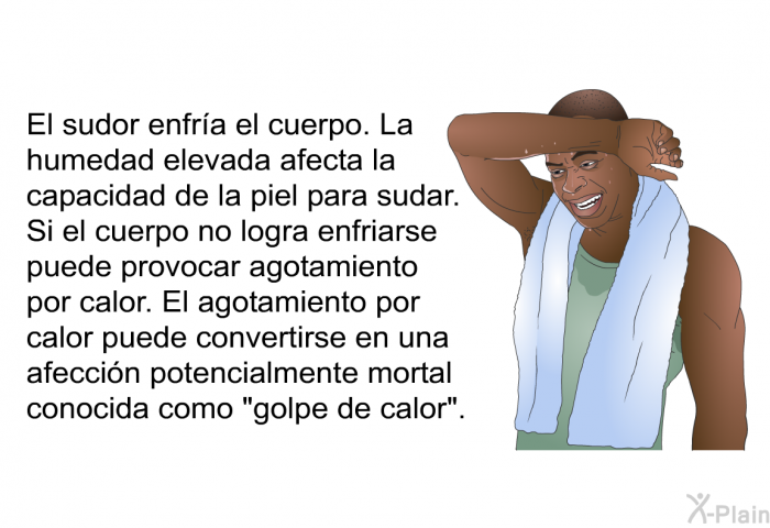 El sudor enfra el cuerpo. La humedad elevada afecta la capacidad de la piel para sudar. Si el cuerpo no logra enfriarse puede provocar agotamiento por calor. El agotamiento por calor puede convertirse en una afeccin potencialmente mortal conocida como “golpe de calor”.