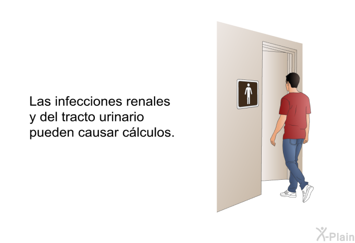 Las infecciones renales y del tracto urinario pueden causar clculos.