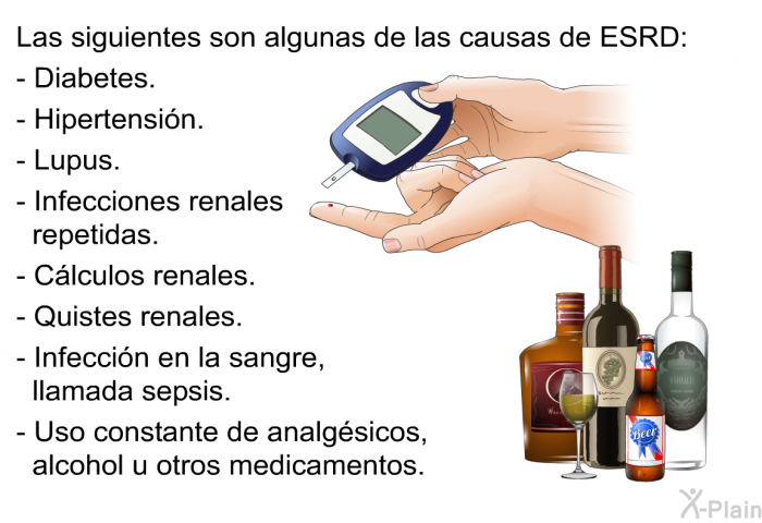 Las siguientes son algunas de las causas de ESRD:  Diabetes. Hipertensin. Lupus. Infecciones renales repetidas. Clculos renales. Quistes renales. Infeccin en la sangre, llamada sepsis. Uso constante de analgsicos, alcohol u otros medicamentos.