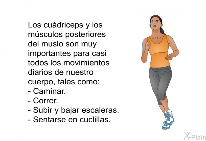 Los cudriceps y los msculos posteriores del muslo son muy importantes para casi todos los movimientos diarios de nuestro cuerpo, tales como:  Caminar. Correr. Subir y bajar escaleras. Sentarse en cuclillas.