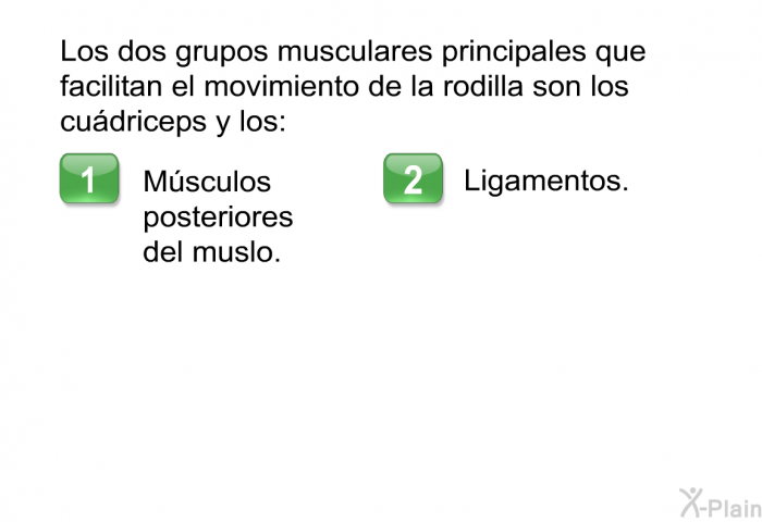 Los dos grupos musculares principales que facilitan el movimiento de la rodilla son los cudriceps y los:  Msculos posteriores del muslo. Ligamentos.