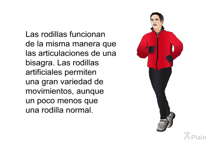 Las rodillas funcionan de la misma manera que las articulaciones de una bisagra. Las rodillas artificiales permiten una gran variedad de movimientos, aunque un poco menos que una rodilla normal.