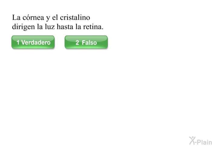 La crnea y el cristalino dirigen la luz hasta la retina.