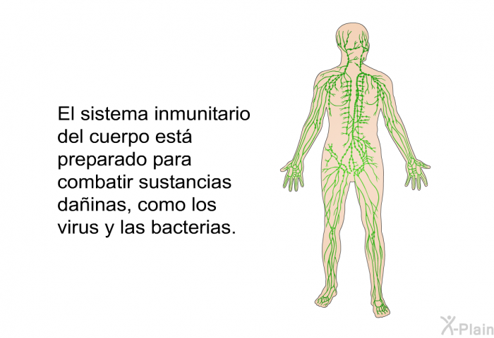 El sistema inmunitario del cuerpo est preparado para combatir sustancias dainas, como los virus y las bacterias.