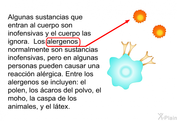 Algunas sustancias que entran al cuerpo son inofensivas y el cuerpo las ignora. Los alergenos normalmente son sustancias inofensivas, pero en algunas personas pueden causar una reaccin alrgica. Entre los alergenos se incluyen: el polen, los caros del polvo, el moho, la caspa de los animales, y el ltex.