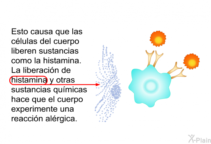 Esto causa que las clulas del cuerpo liberen sustancias como la histamina. La liberacin de histamina y otras sustancias qumicas hace que el cuerpo experimente una reaccin alrgica.