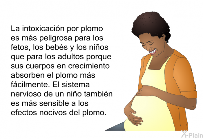 La intoxicacin por plomo es ms peligrosa para los fetos, los bebs y los nios que para los adultos porque sus cuerpos en crecimiento absorben el plomo ms fcilmente. El sistema nervioso de un nio tambin es ms sensible a los efectos nocivos del plomo.