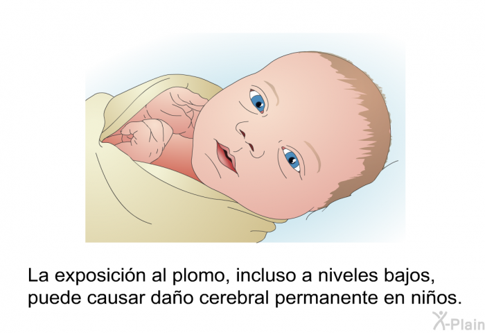 La exposici�n al plomo, incluso a niveles bajos, puede causar da�o cerebral permanente en ni�os.