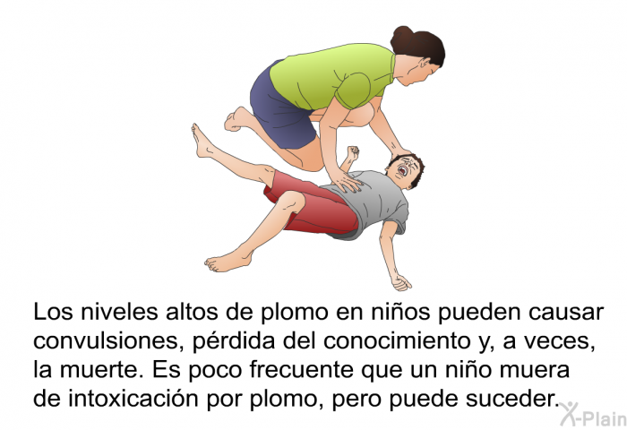 Los niveles altos de plomo en ni�os pueden causar convulsiones, p�rdida del conocimiento y, a veces, la muerte. Es poco frecuente que un ni�o muera de intoxicaci�n por plomo, pero puede suceder.