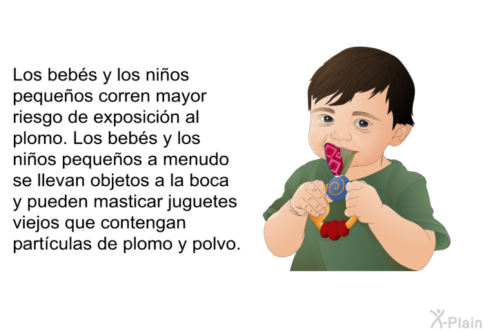 Los bebs y los nios pequeos corren mayor riesgo de exposicin al plomo. Los bebs y los nios pequeos a menudo se llevan objetos a la boca y pueden masticar juguetes viejos que contengan partculas de plomo y polvo.