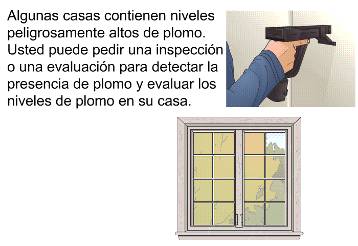 Algunas casas contienen niveles peligrosamente altos de plomo. Usted puede pedir una inspecci�n o una evaluaci�n para detectar la presencia de plomo y evaluar los niveles de plomo en su casa.