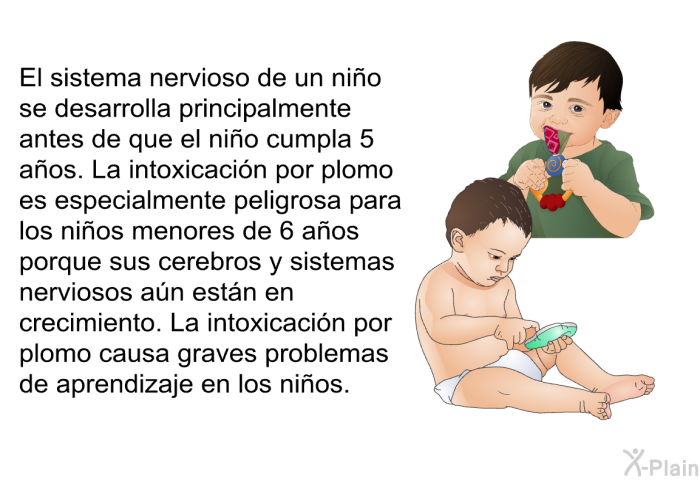 El sistema nervioso de un ni�o se desarrolla principalmente antes de que el ni�o cumpla 5 a�os. La intoxicaci�n por plomo es especialmente peligrosa para los ni�os menores de 6 a�os porque sus cerebros y sistemas nerviosos a�n est�n en crecimiento. La intoxicaci�n por plomo causa graves problemas de aprendizaje en los ni�os.