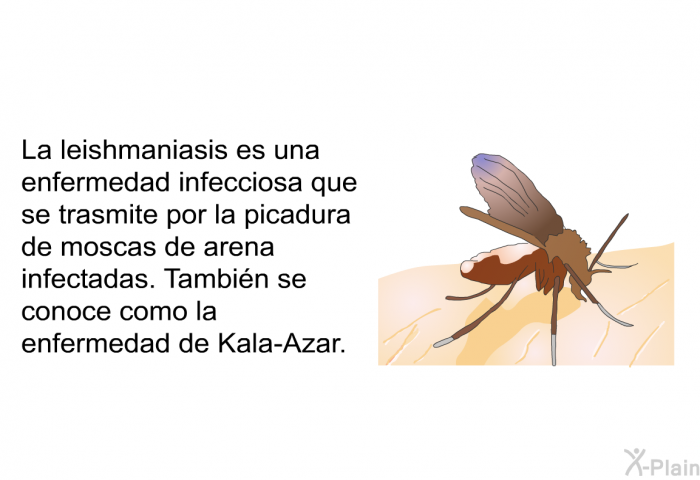 La leishmaniasis es una enfermedad infecciosa que se trasmite por la picadura de moscas de arena infectadas. Tambin se conoce como la enfermedad de Kala-Azar.