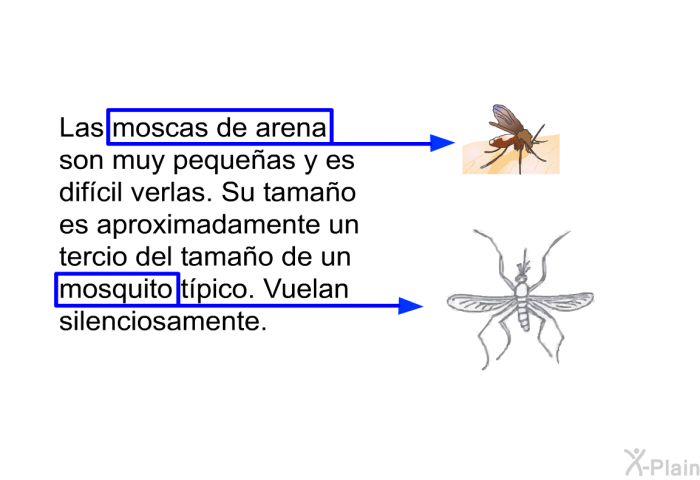 Las moscas de arena son muy pequeas y es difcil verlas. Su tamao es aproximadamente un tercio del tamao de un mosquito tpico. Vuelan silenciosamente.