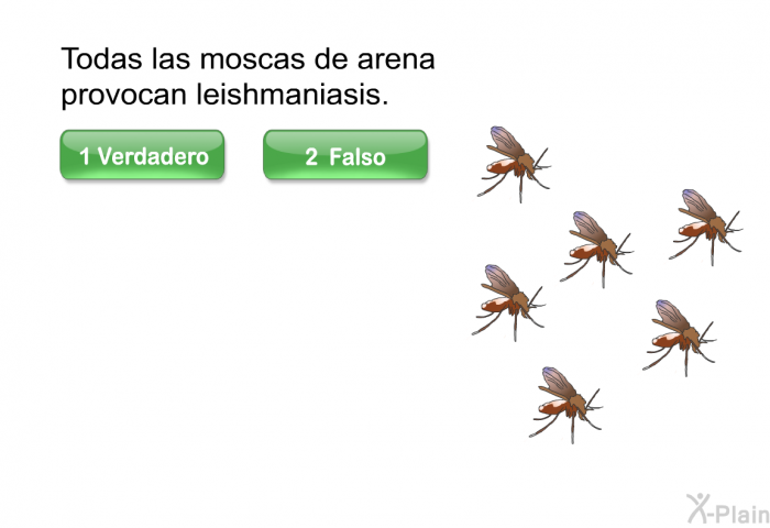 Todas las moscas de arena provocan leishmaniasis.