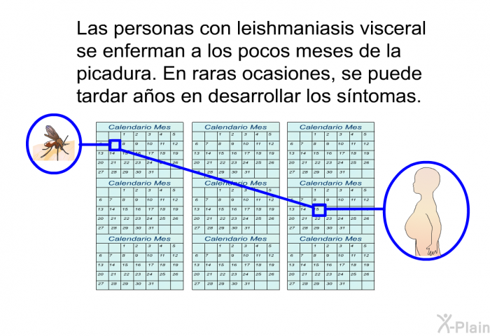 Las personas con leishmaniasis visceral se enferman a los pocos meses de la picadura. En raras ocasiones, se puede tardar aos en desarrollar los sntomas.