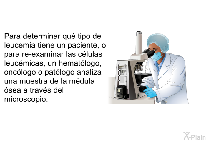 Para determinar qu� tipo de leucemia tiene un paciente, o para re-examinar las c�lulas leuc�micas, un hemat�logo, onc�logo o pat�logo analiza una muestra de la m�dula �sea a trav�s del microscopio.