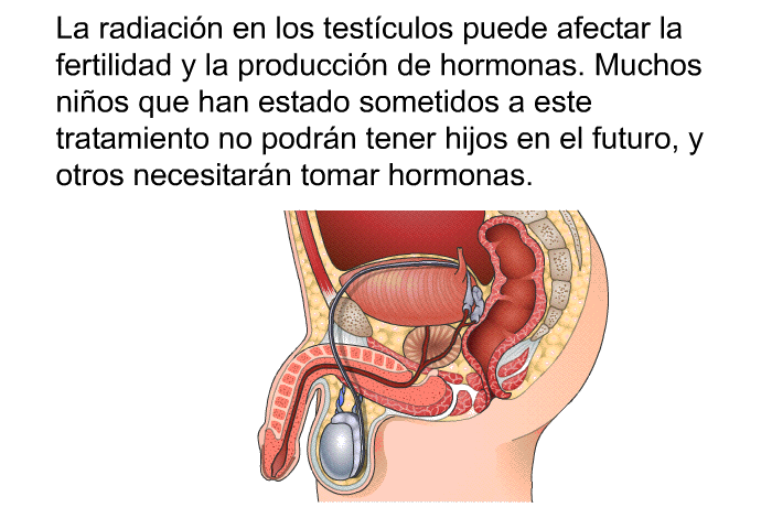 La radiacin en los testculos puede afectar la fertilidad y la produccin de hormonas. Muchos nios que han estado sometidos a este tratamiento no podrn tener hijos en el futuro, y otros necesitarn tomar hormonas.