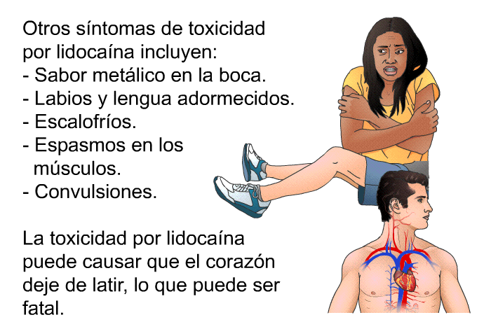 Otros sntomas de toxicidad por lidocana incluyen:  Sabor metlico en la boca. Labios y lengua adormecidos. Escalofros. Espasmos en los msculos. Convulsiones.  
 La toxicidad por lidocana puede causar que el corazn deje de latir, lo que puede ser fatal.