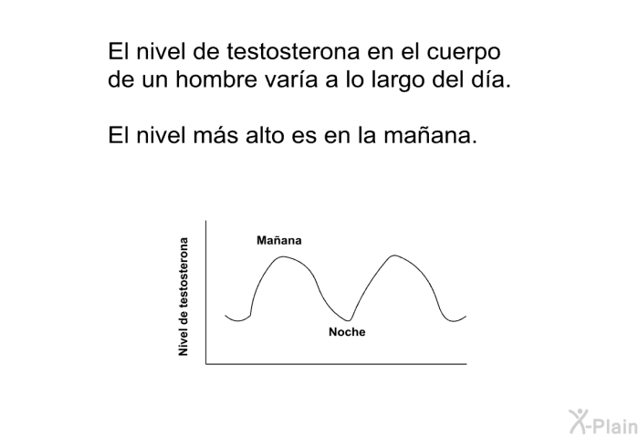 El nivel de testosterona en el cuerpo de un hombre vara a lo largo del da. El nivel ms alto es en la maana.