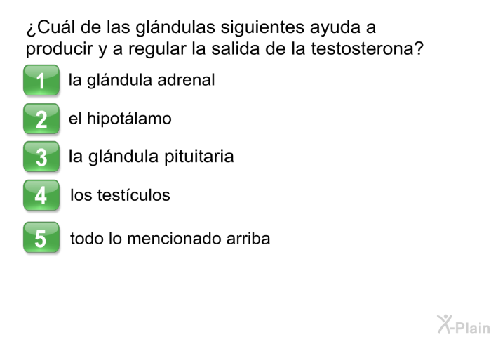 ¿Cul de las glndulas siguientes ayuda a producir y a regular la salida de la testosterona?  la glndula adrenal el hipotlamo la glndula pituitaria los testculos todo lo mencionado arriba