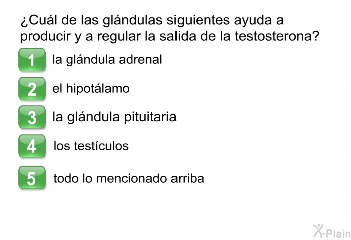 ¿Cul de las glndulas siguientes ayuda a producir y a regular la salida de la testosterona?  la glndula adrenal el hipotlamo la glndula pituitaria los testculos todo lo mencionado arriba