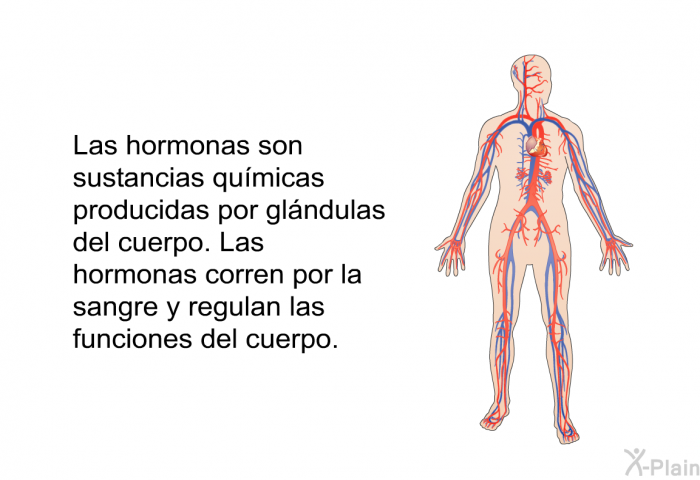 Las hormonas son sustancias qumicas producidas por glndulas del cuerpo. Las hormonas corren por la sangre y regulan las funciones del cuerpo.