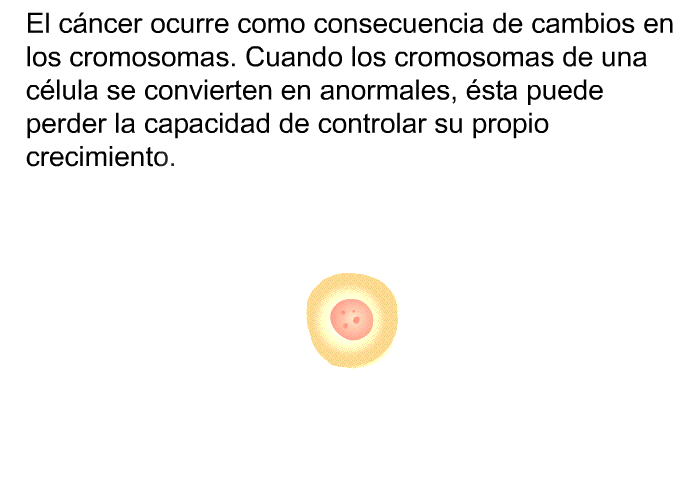 El cncer ocurre como consecuencia de cambios en los cromosomas. Cuando los cromosomas de una clula se convierten en anormales, sta puede perder la capacidad de controlar su propio crecimiento.