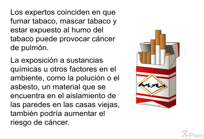 Los expertos coinciden en que fumar tabaco, mascar tabaco y estar expuesto al humo del tabaco puede provocar cncer de pulmn. La exposicin a sustancias qumicas u otros factores en el ambiente, como la polucin o el asbesto, un material que se encuentra en el aislamiento de las paredes en las casas viejas, tambin podra aumentar el riesgo de cncer.