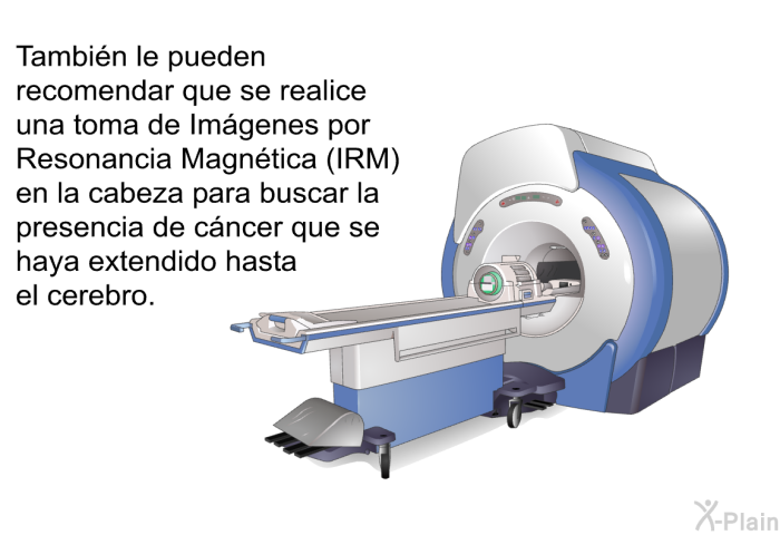 Tambin le pueden recomendar que se realice una toma de Imgenes por Resonancia Magntica (IRM) en la cabeza para buscar la presencia de cncer que se haya extendido hasta el cerebro.