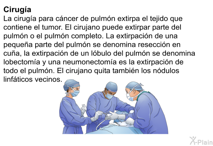 Ciruga: La ciruga para cncer de pulmn extirpa el tejido que contiene el tumor. El cirujano puede extirpar parte del pulmn o el pulmn completo. La extirpacin de una pequea parte del pulmn se denomina reseccin en cua, la extirpacin de un lbulo del pulmn se denomina lobectoma y una neumonectoma es la extirpacin de todo el pulmn. El cirujano quita tambin los ndulos linfticos vecinos.