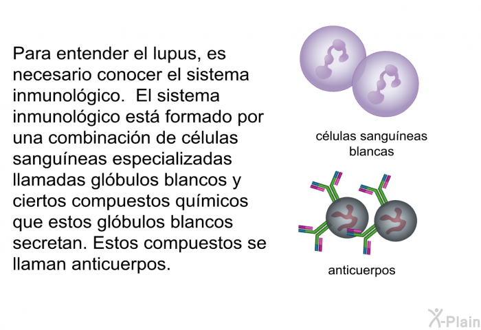 Para entender el lupus, es necesario conocer el sistema inmunolgico. El sistema inmunolgico est formado por una combinacin de clulas sanguneas especializadas llamadas glbulos blancos y ciertos compuestos qumicos que estos glbulos blancos secretan. Estos compuestos se llaman anticuerpos.