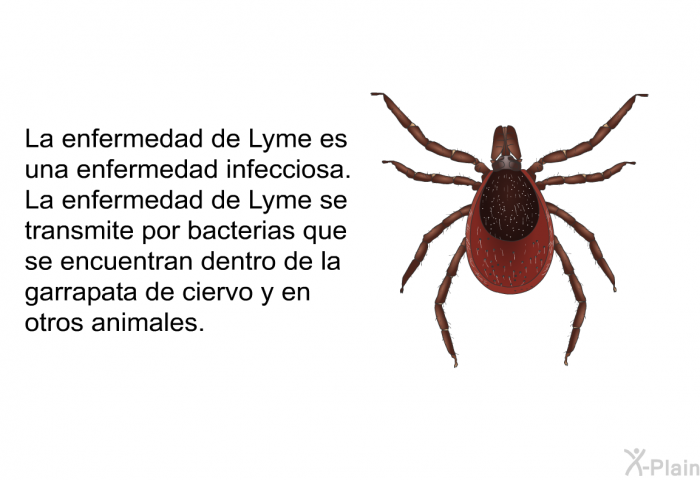 La enfermedad de Lyme es una enfermedad infecciosa. La enfermedad de Lyme se transmite por bacterias que se encuentran dentro de la garrapata de ciervo y en otros animales.