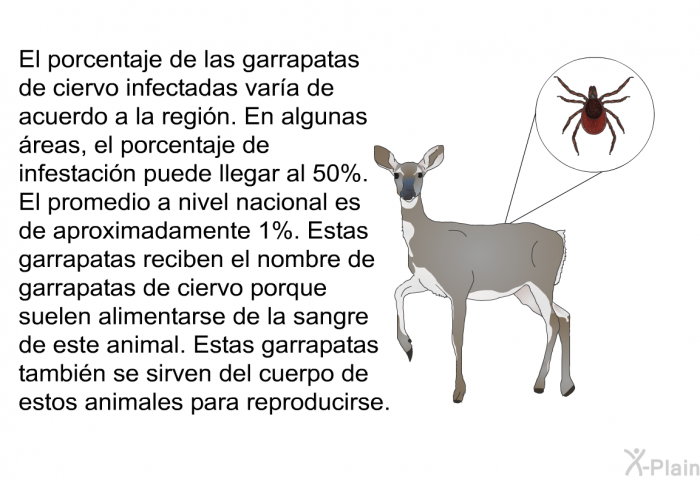 El porcentaje de las garrapatas de ciervo infectadas vara de acuerdo a la regin. En algunas reas, el porcentaje de infestacin puede llegar al 50%. El promedio a nivel nacional es de aproximadamente 1%. Estas garrapatas reciben el nombre de garrapatas de ciervo porque suelen alimentarse de la sangre de este animal. Estas garrapatas tambin se sirven del cuerpo de estos animales para reproducirse.