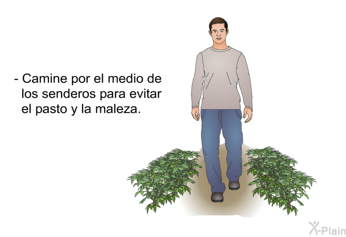 Camine por el medio de los senderos para evitar el pasto y la maleza.