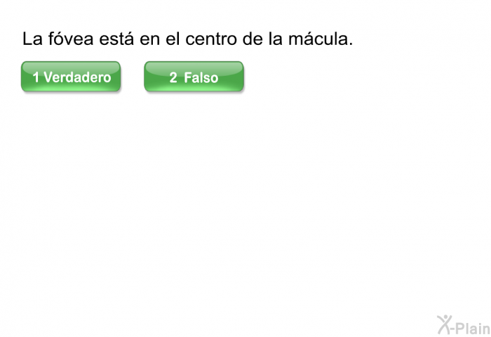 La fvea est en el centro de la mcula.