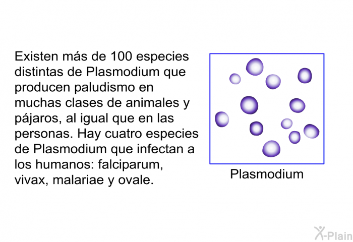 Existen ms de 100 especies distintas de Plasmodium que producen paludismo en muchas clases de animales y pjaros, al igual que en las personas. Hay cuatro especies de Plasmodium que infectan a los humanos: falciparum, vivax, malariae y ovale.